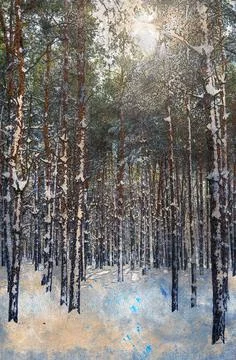 A winter pine forest. Sunlight shines through the tall, frozen trees covered  Stock Illustration