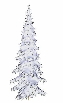 Winter pine or fir tree covered with snow - 3D render Stock Illustration