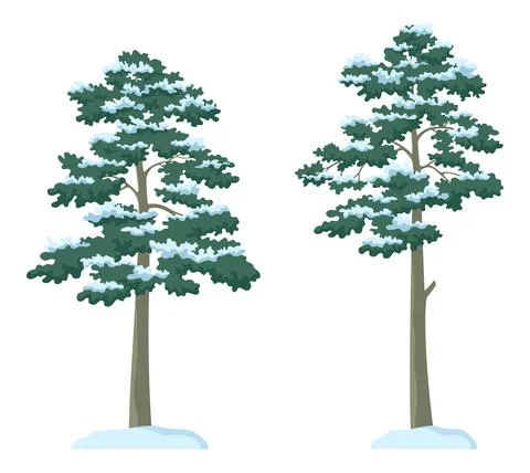 Winter Pine Trees Stock Illustration