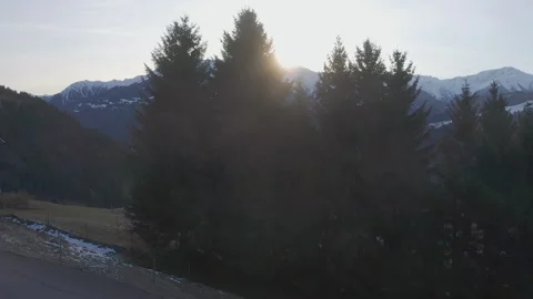 Winter Pine Trees in the Swiss Alps Stock Footage 158802666