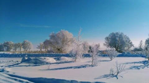 Winter pink Stock Photos