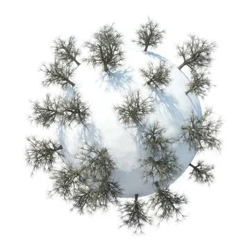 Winter Planet Stock Illustration