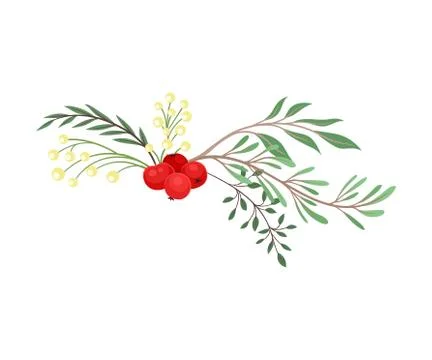 Winter Plant Elements Gathered in Vector Decorative Composition 스톡 일러스트