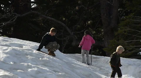 Winter play in the forest Video stock 1180719