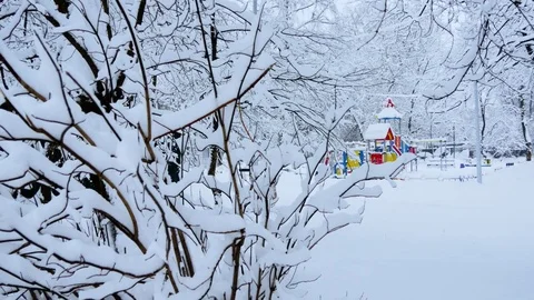 The winter Playground of snowy trees 스톡 동영상 85304491