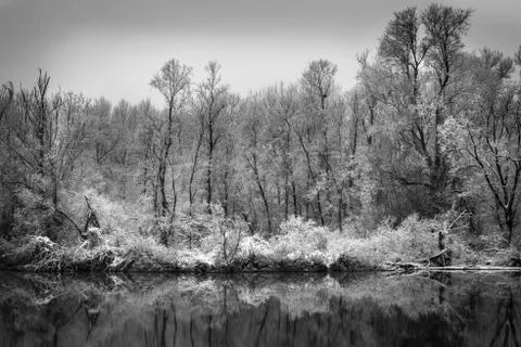 Winter po river Foto stock
