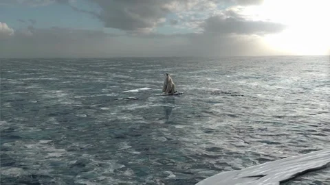Winter polar bears in arctic melting sea water climate warming frozen in video Vídeo Stock 334032341