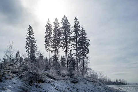 Winter in polish mountains Stock Photos