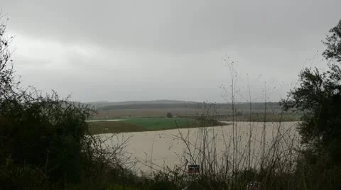 Winter pond 3 動画素材 20531024