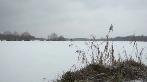 Winter on the pond Video stock 146378506