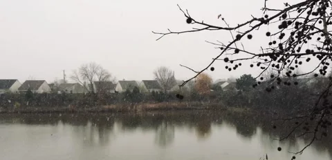 Winter On The Pond Stock Footage 149326252