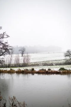 Winter pond landscape. Stock Photos
