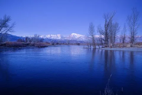 Winter Pond Stock Photos