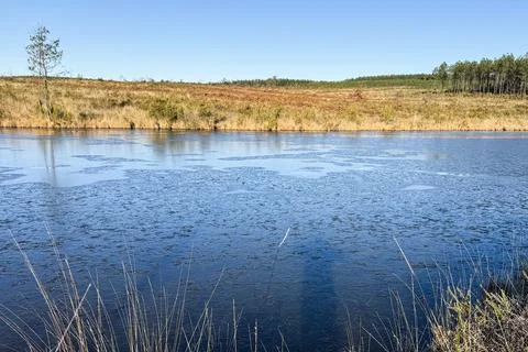 Winter pond Stock Photos