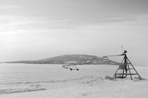 Winter potato fields 스톡 사진