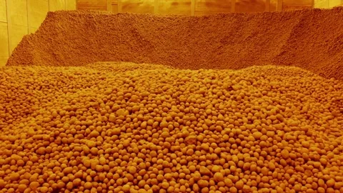 Winter potato storage in large capacity facility using yellow-spectrum lighting Stock Footage 305928199