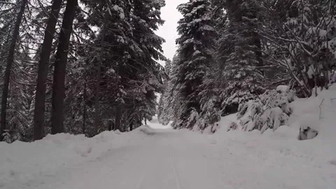 Winter POV Sledding Down Snowy Forest Road On Zlatar 스톡 동영상 344053443