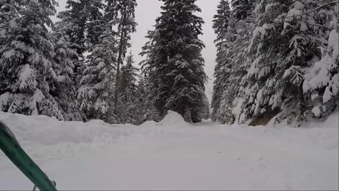 Winter POV Sledding Down Snowy Mountain Forest Trail On Zlatar 스톡 동영상 344054045