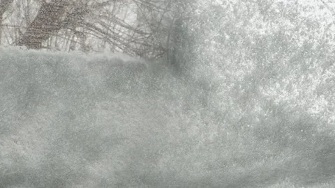 Winter problems of car drivers. Machine, covered with snow Stock Footage 146111360