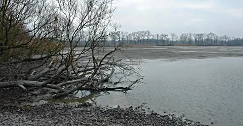 This winter in a protected area Stock Photos