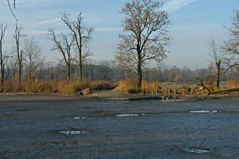 This winter in a protected area Stock Photos