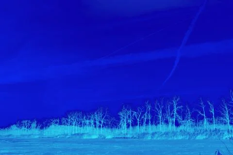 This winter in a protected area Stock Photos