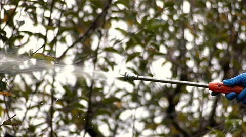 Winter protection of fruit trees by spraying Stock Footage 48867028