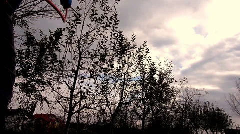 Winter protection of fruit trees by spraying Stock Footage 48867646