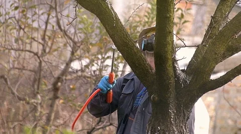 Winter protection of fruit trees by spraying Stock Footage 48876693