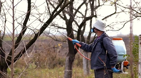 Winter protection of fruit trees by spraying Stock Footage 48877092