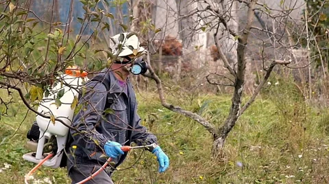 Winter protection of fruit trees by spraying Stock Footage 48877923