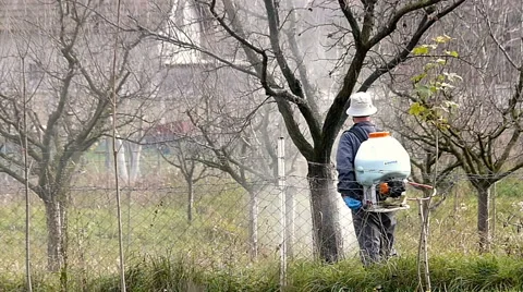 Winter protection of fruit trees by spraying Stock Footage 48878267