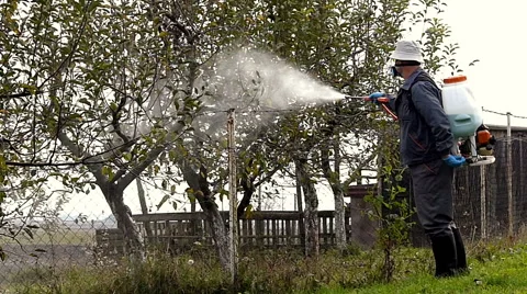 Winter protection of fruit trees by spraying Stock Footage 48878341