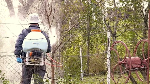 Winter protection of fruit trees by spraying Stock Footage 48878426