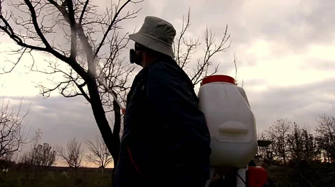 Winter protection of fruit trees by spraying Stock Footage 48879428