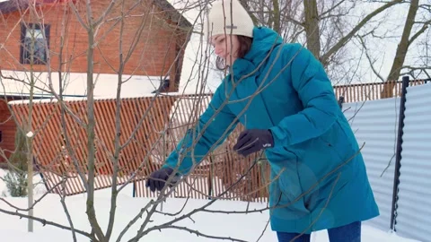 Winter pruning of trees in the garden. The gardener cuts the unwanted branches Stock Footage 169236910