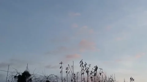 Winter purple sky at sunset with light cirrus clouds in the village Stock Footage 229480846