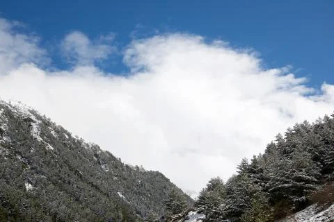 Winter in Pyrenees Фото