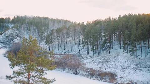 Winter quarry overgrown with trees Stock Footage 121157827