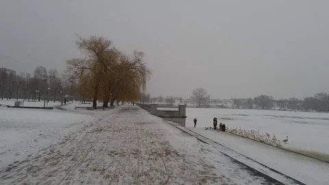 Winter Quay Stock Footage 104658626