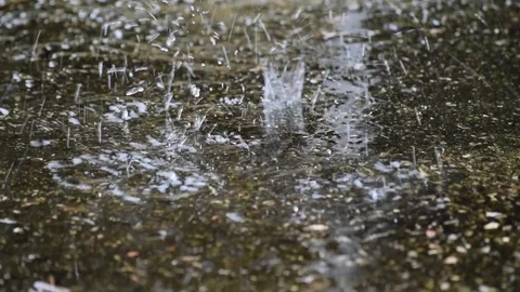 Winter Rain Drops Video stock 107038909