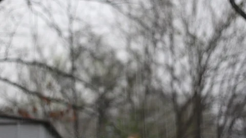 Winter Rain with Unfocused Bare Trees Stock Footage 105492734
