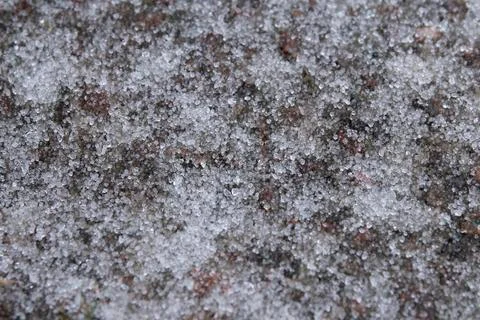 Winter rainfall turned to ice. Stock Photos
