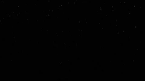 Winter real snow fall effect. Snow storm isolated on black background overlay. Stock-Footage 167029867