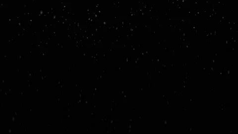 Winter real snow fall effect. Snow storm isolated on black background overlay. Vídeo Stock 167029871
