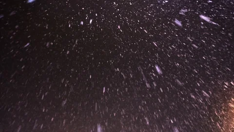 Winter real snow fall 動画素材 115371977