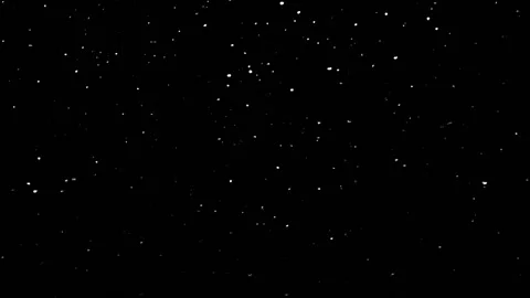 Winter real snow, Falling snow 60 fps, loop , black and white Stock-Footage 230959596