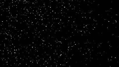 Winter real snow, Falling snow, loop , black and white Stock-Footage 231970820