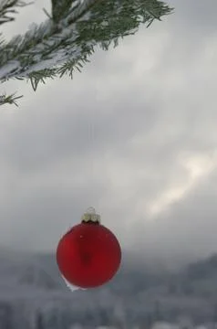 Winter red bauble Stock Photos