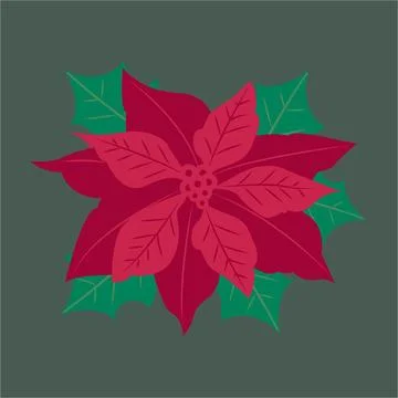 Winter Red Flower Stock Illustration